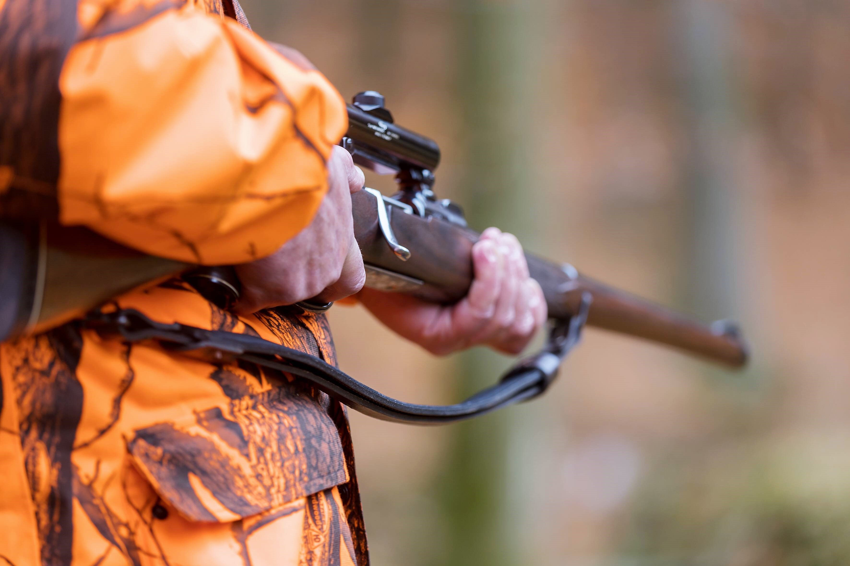 Killer-Bär in Bayern! Nach tödlicher Bärenattacke in Italien - Angst in Bayern wächst!