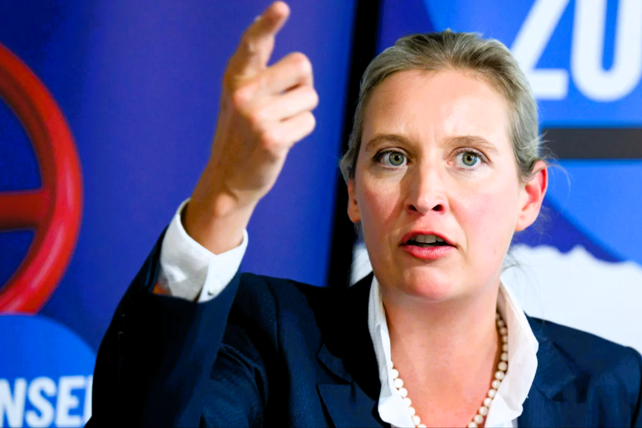 Neuer AFD-Schock für Ampel und CDU! Trotz Protesten - So viele Deutsche wollen die AfD wählen!